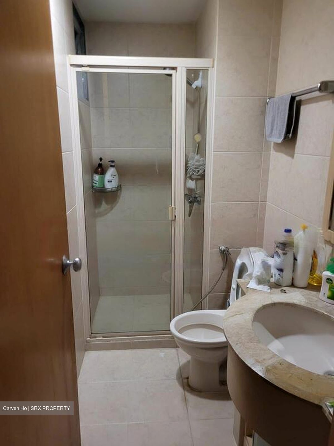 Hillview Regency (D23), Condominium #481406171